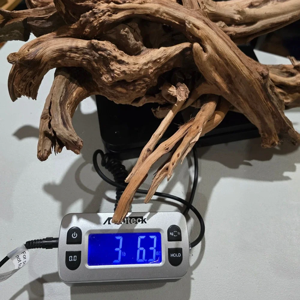Natural Driftwood Aquarium Terrarium Decor 16 Inch Tan Large Root‎ Sculpture